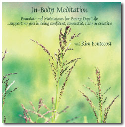 In-Body Meditation CD Cover